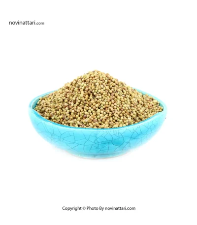 تخم گشنیز