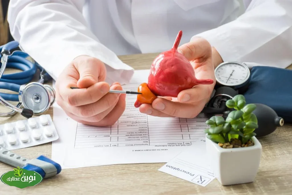 عکس مرتبط با درمان مشکلات پروستات با طب سنتی و گیاهان دارویی