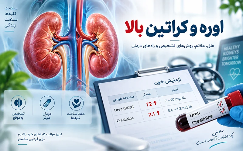 اوره و کراتین بالا